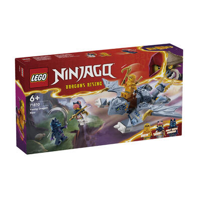 Lego樂高 幼龍阿隆 71810