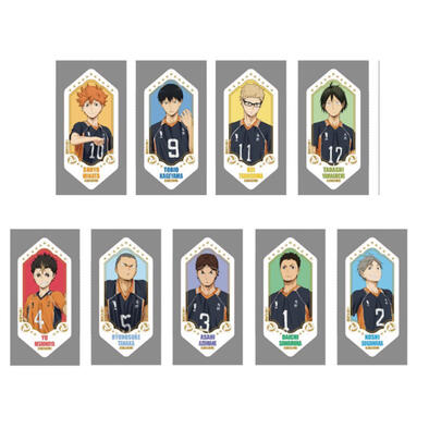 Haikyuu!! 排球少年!!徽章盲袋-鳥野高校系列- 隨機發貨