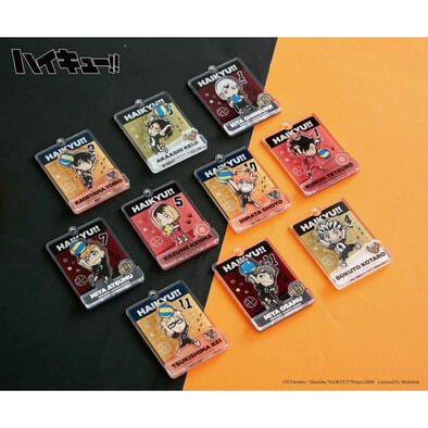Haikyuu!!  key chain-blind draw - Assorted